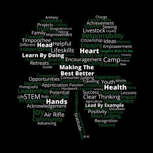 Meet your Posher, Ava